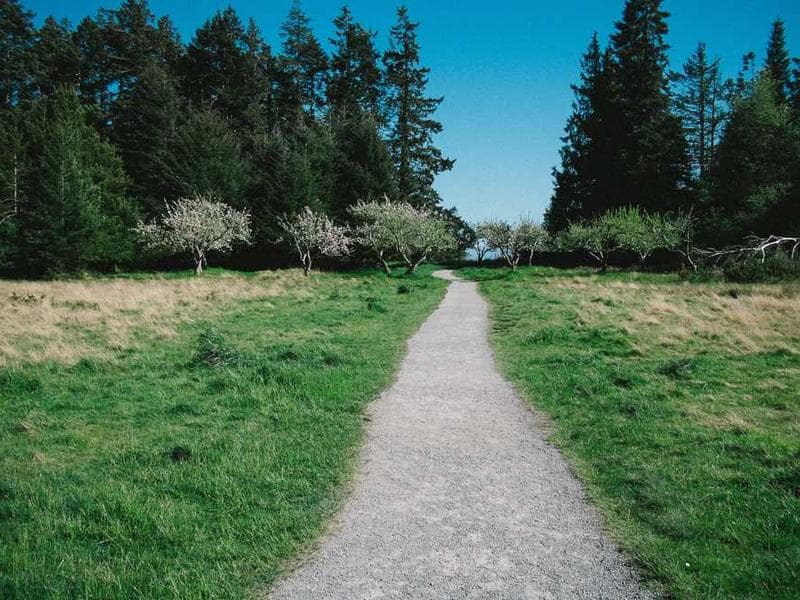 Pemanasan sebelum mulai.