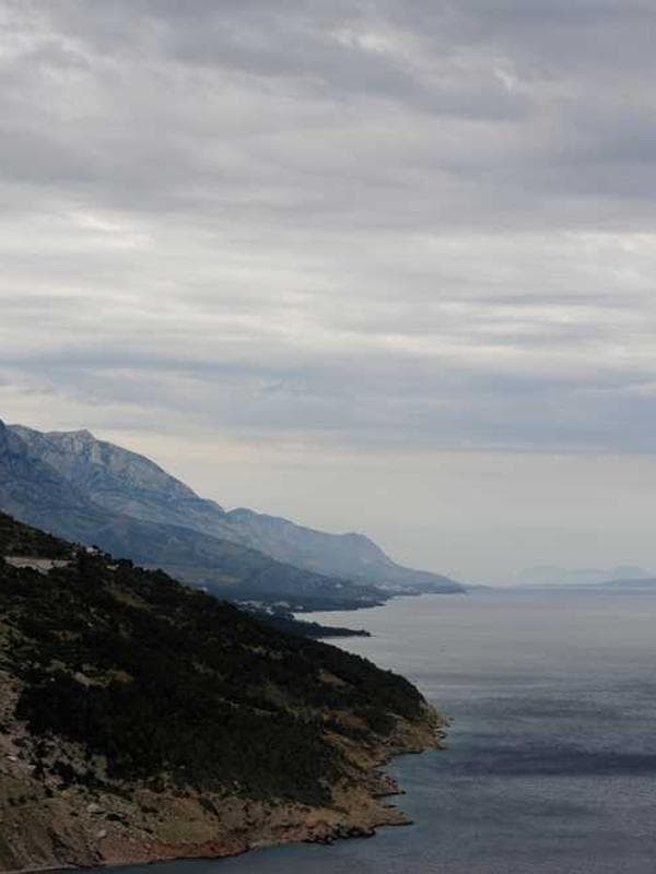 Netting tipis yang memukau.